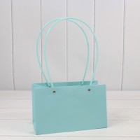 Пакет подарочный "Ваза для цветов" 22*13,5*10,5 Голубой 1/10 1/120 Арт: 000170EA/635