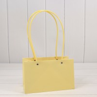 Пакет подарочный "Ваза для цветов" 22*13,5*10,5 Песочный 1/10 1/120 Арт: 000170EA/7499