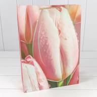 Пакет подарочный с блёстками "Тюльпаны" (микс 256) 30*41,5*12 210г 1/20 1/80 Арт: 000256A - Пакет подарочный с блёстками "Тюльпаны" (микс 256) 30*41,5*12 210г 1/20 1/80 Арт: 000256A