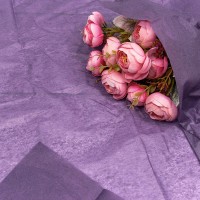 Бумага в листах "Тишью" 50*66 (10 шт.) Фиолетовый 1/250 Арт: 000100/4