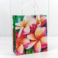 Пакет мягкий пластик Женский (ассортимент) 23*26*10 1/20 1/200 Арт: BAS-1 - Пакет мягкий пластик Женский (ассортимент) 23*26*10 1/20 1/200 Арт: BAS-1