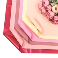 Плёнка 1698 55*55 см